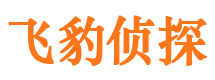 代县寻人公司